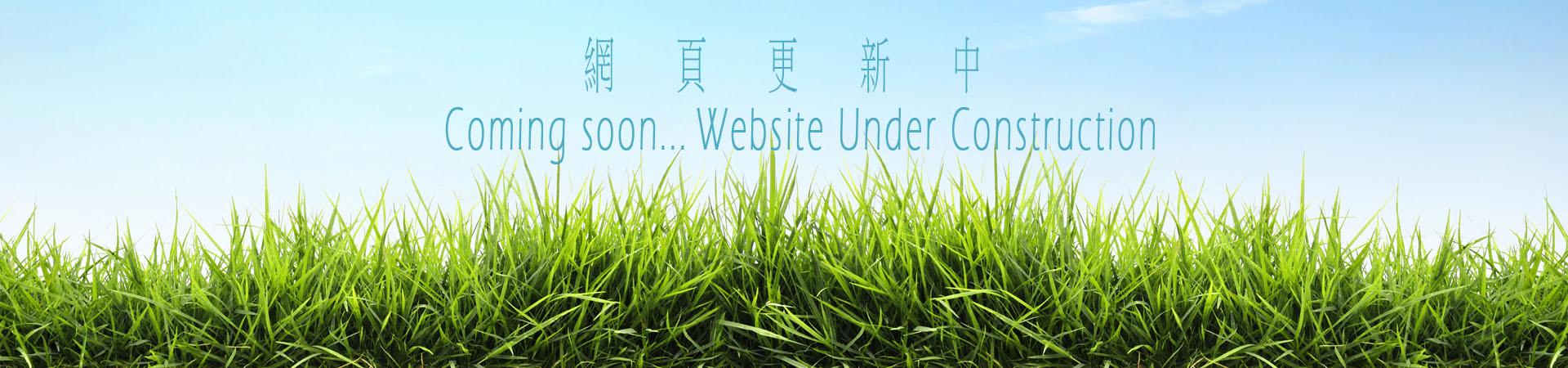 besign-banner-1920x450